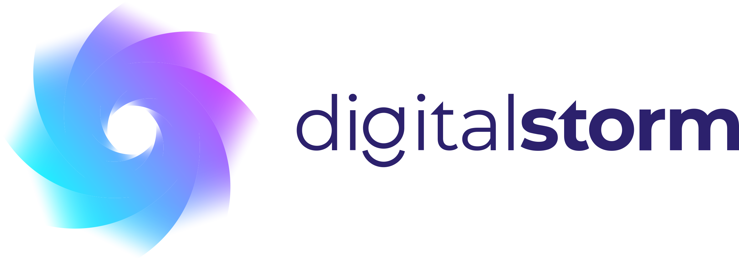 Digital Storm GmbH Logo